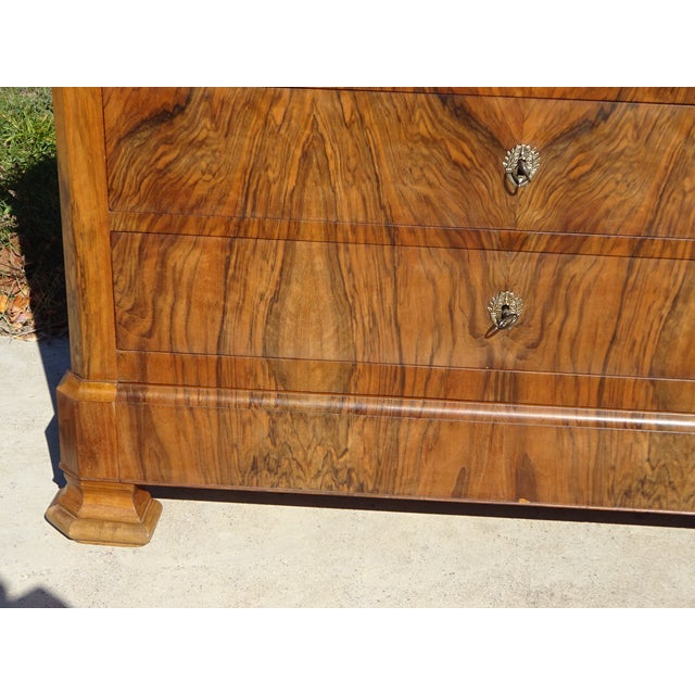 Louis Philippe Walnut Chest of Drawers, 19th Century For Sale - Image 13 of 18