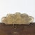 Baroque Italian Shell-Form Carved Wood Fragment Architectural Salvage, 1700s For Sale - Image 9 of 10