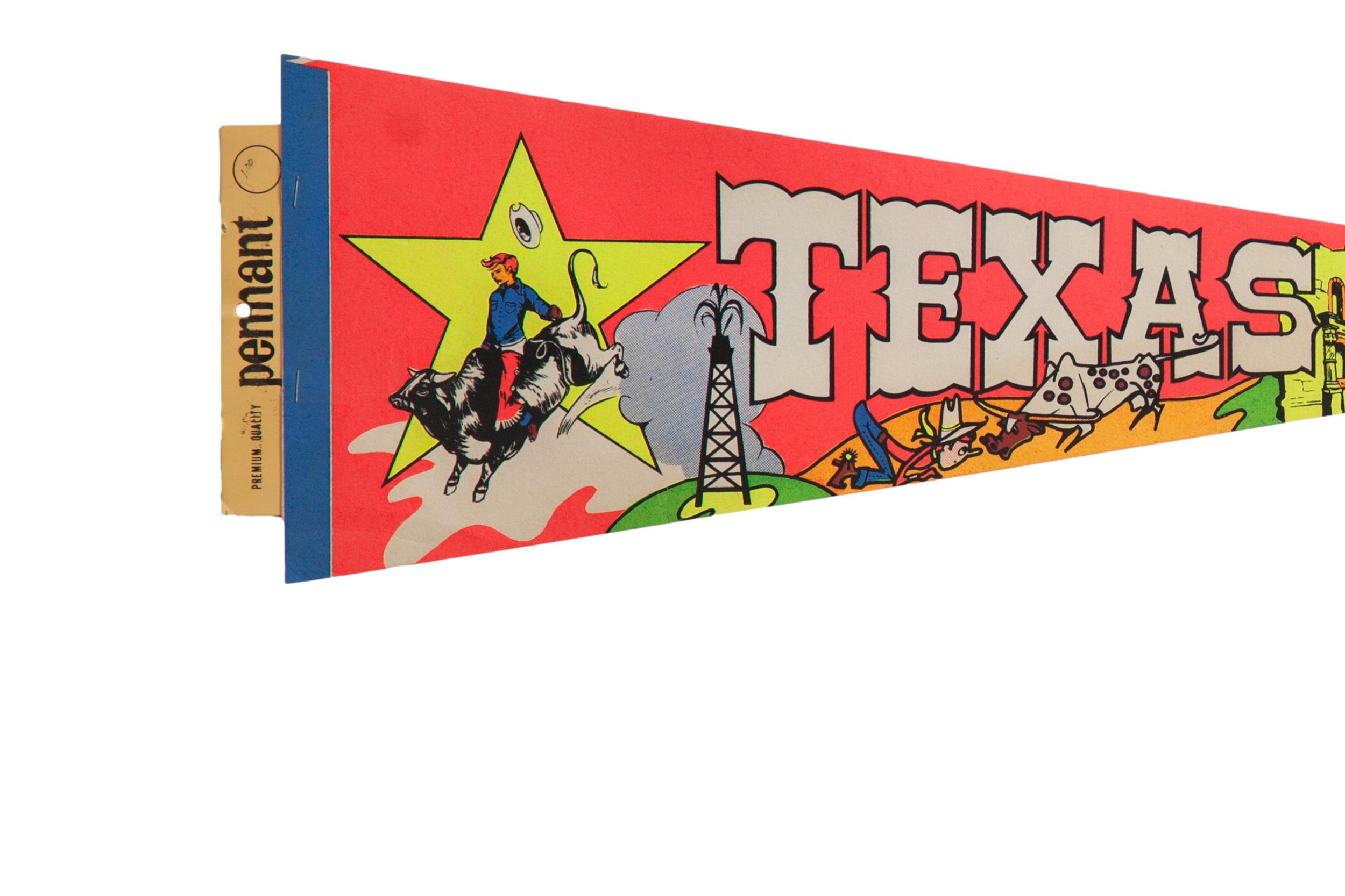 University of Texas at Arlington 12'' x 30'' Pennant | University Of