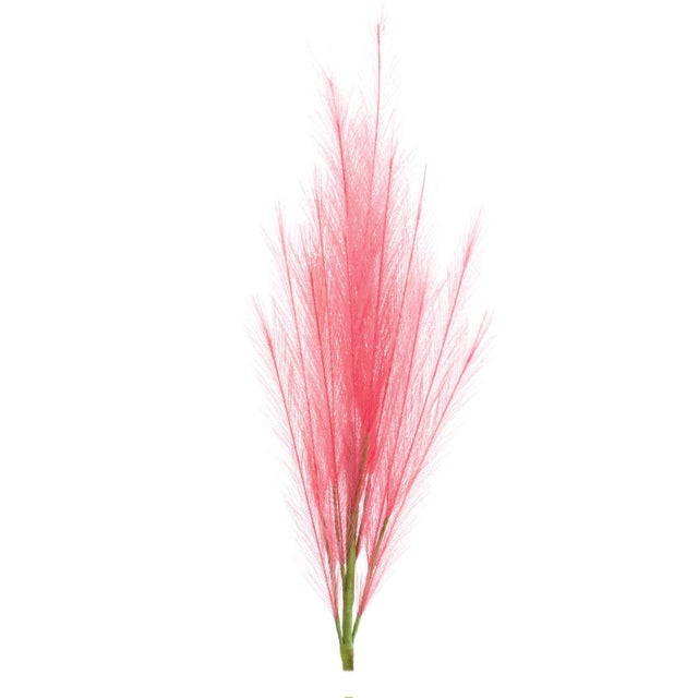 2020s AssortedPink Plume Spray (Set of 3) For Sale - Image 5 of 5