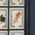 Large Italian Pressed Flowers and Herbs in Oak Frame, 1950s For Sale - Image 10 of 15
