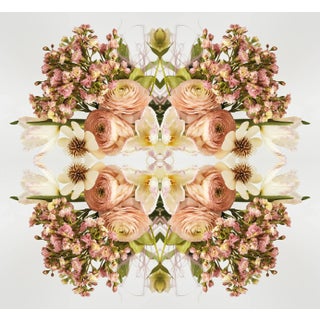"No. 195" Original Botanical Still Life Digital Print by Erin Derby For Sale