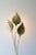 Italian Leaf Shaped Floor Lamp in Brass with Three Lights, 1970s For Sale - Image 9 of 11