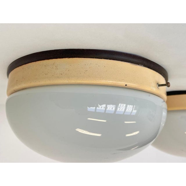 Gold Bakelite Bauhaus Wall Lamps, 1940s, Set of 2 For Sale - Image 8 of 9