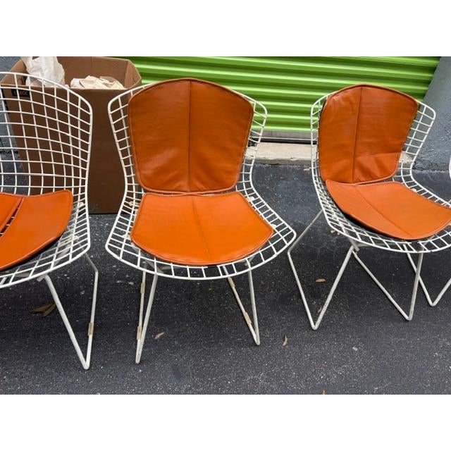 White 1960s Set of 6 Harry Bertoia for Knoll Wire Chairs Leather Cushions For Sale - Image 8 of 10