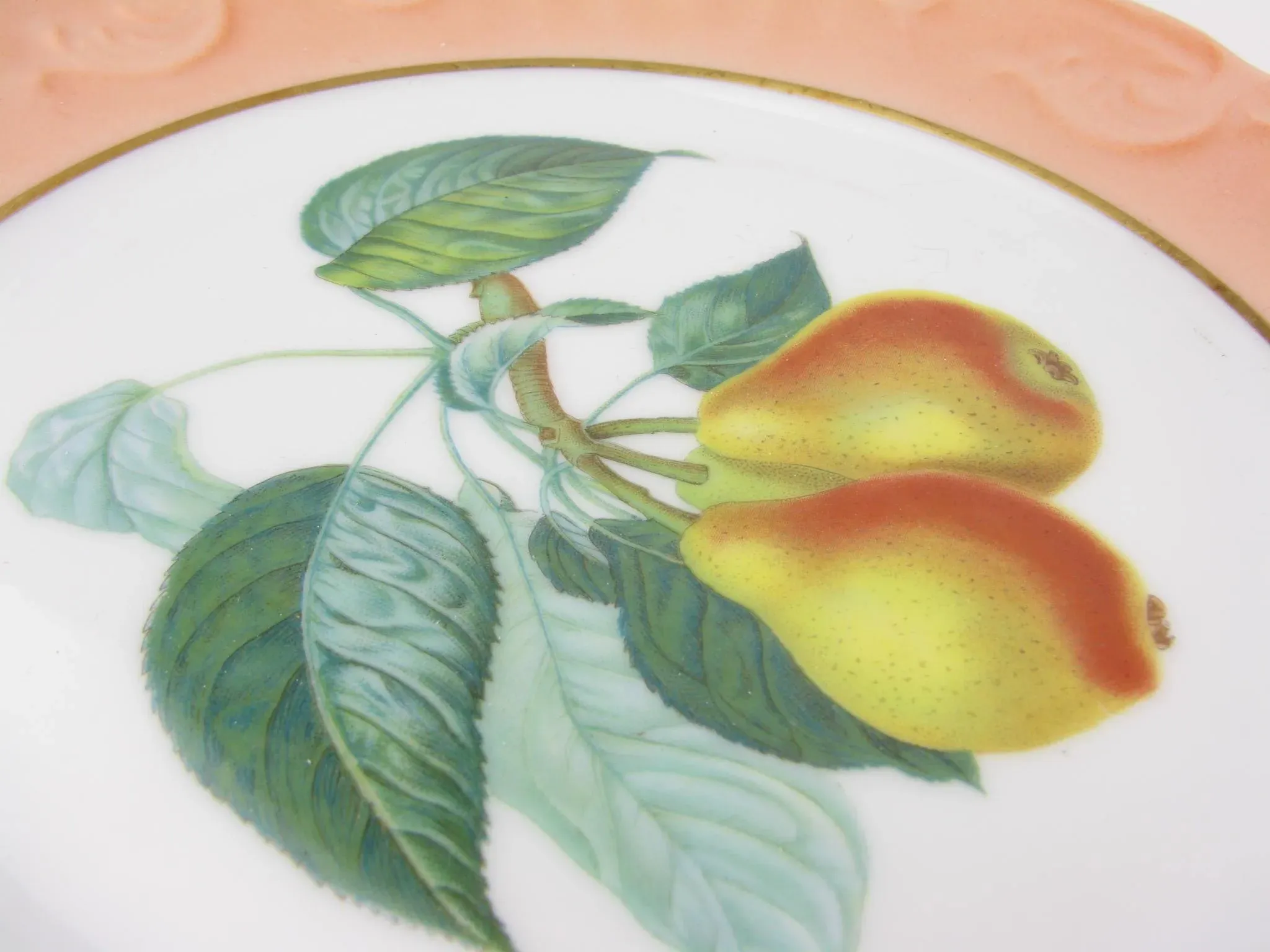 Vintage Vista Alegre for Mottahedeh Summer Fruit Porcelain Plates