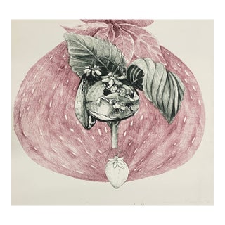 1972 Adrienne Anderson Lithograph For Sale