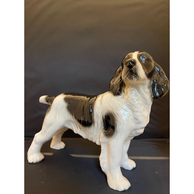 German Porcelain Figure of Cocker Spaniel Dog, 20th Century