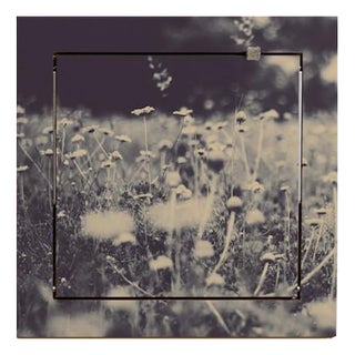 40×40-1 Fläpps Shelf by Ingrid Beddoes for Ambivalenz For Sale