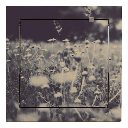 40×40-1 Fläpps Shelf by Ingrid Beddoes for Ambivalenz For Sale