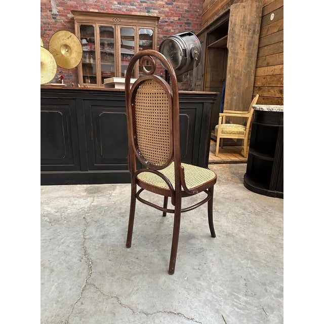 1960s Bentwood Chair N°17 from Thonet, 1960s For Sale - Image 5 of 9