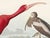Not Yet Made - Made To Order Scarlet Ibis by John James Audubon, Vintage Art Print Reproduction, 16" × 12" For Sale - Image 5 of 10