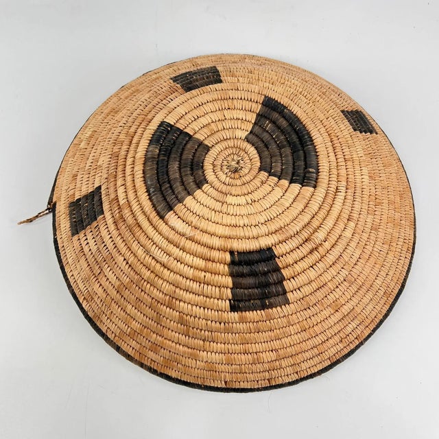 African Early 20th Century Botswana Basket 15inch MATTER COLLECTION For Sale - Image 3 of 8