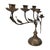 French Art Nouveau Brass Lily Botanical Candelabra, 5-Light, Early 20th Century 15" For Sale - Image 4 of 10