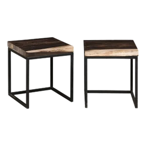 Petrified Wood Small End/Coffee Tables - a Pair