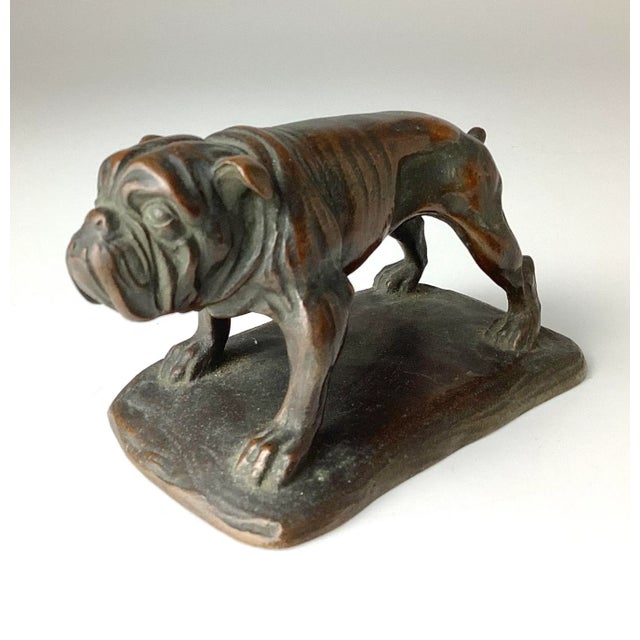 Vintage Bronze English Bulldog Figurine For Sale - Image 9 of 9