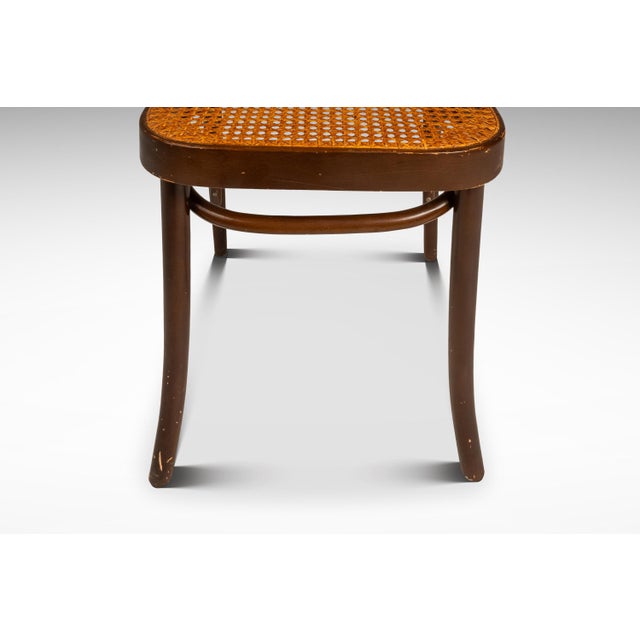 Single Patinaed Bentwood Prague Model 811 Side Chair by Josef Frank for Stendig W/ Original Cane Seat & Back, Poland, C. 1960s For Sale - Image 12 of 18