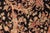 Shabby Chic Shabby Chic Medallion 1990's Pak-Persian Black/Gold Wool Rug - 5'11'' X 9'1'' For Sale - Image 3 of 9