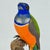 A rare and original hand carved and painted brightly colored bird with glass eyes mounted on driftwood, by the late Harry...