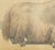 Borie, Male Yak, from Borie's Farm Animals, 1863, Chromolithograph For Sale - Image 6 of 9