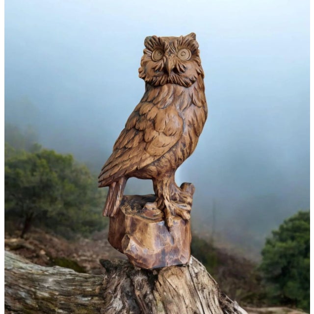 Vintage Hand-Carved Wood Owl, 1920s For Sale - Image 11 of 12