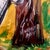 Impressionist Original Oil on Canvas Painting #3 For Sale In Orlando - Image 6 of 9
