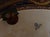 Table Planter from Gien, 1890s For Sale - Image 3 of 10