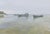 Andris Gutmanis, After Fishing in Lapmezciems, 2025, Oil Painting on Canvas For Sale - Image 6 of 6