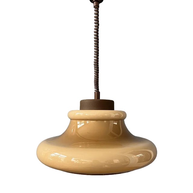 Mid-Century Mushroom Pendant Lamp from Herda For Sale