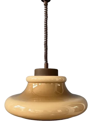 Mid-Century Mushroom Pendant Lamp from Herda