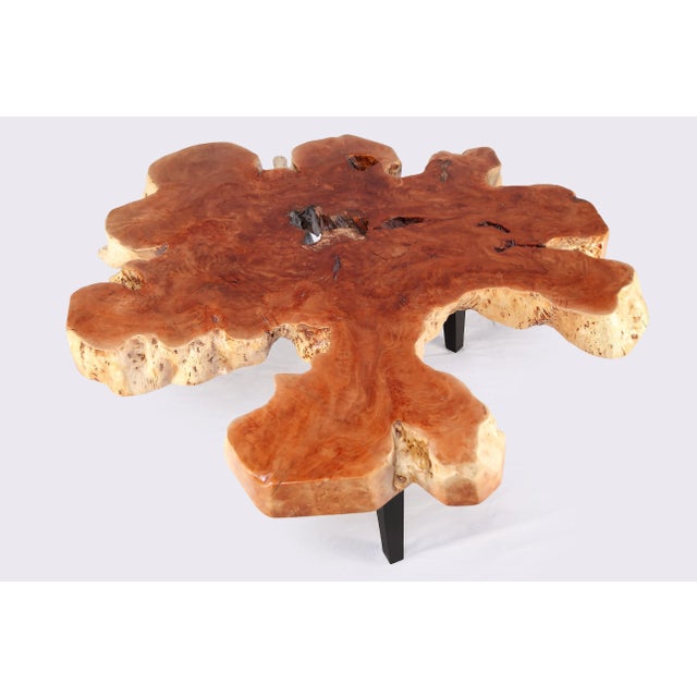 2020s Modern Lychee Living Edge Coffee Table 93 For Sale - Image 5 of 6