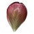 2000 - 2009 Michael Aram Petal Bowl, Red to Pink Gradient Enameled Aluminum Centerpiece For Sale