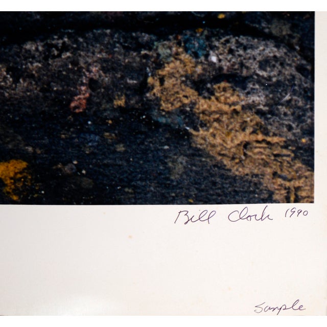 "Polk Street" Large Scale Textural Photograph San Francisco Abstract by Bill Clark For Sale In Monterey, CA - Image 6 of 7