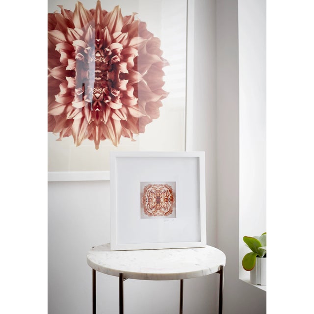 Peach "Ancien" Contemporary Original Op Art Botanical Print by Erin Derby For Sale - Image 8 of 8