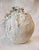 Experience the exquisite artistry of the Fubuki Organic Vases at The Shine Studios, where each piece evokes the feeling of...