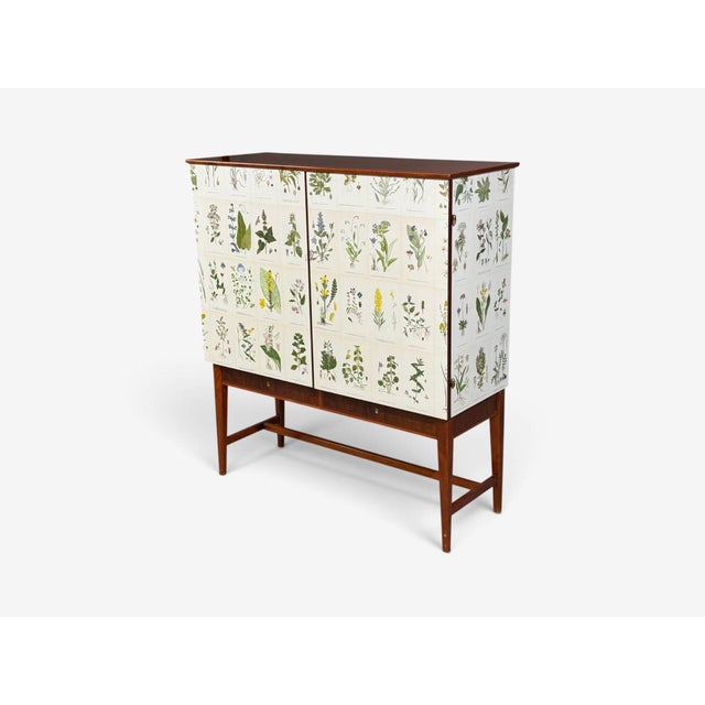 Swedish Modern, Nordens Flora Cabinet, Birch, Floral Lithographs, Sweden, 1940s For Sale - Image 4 of 16