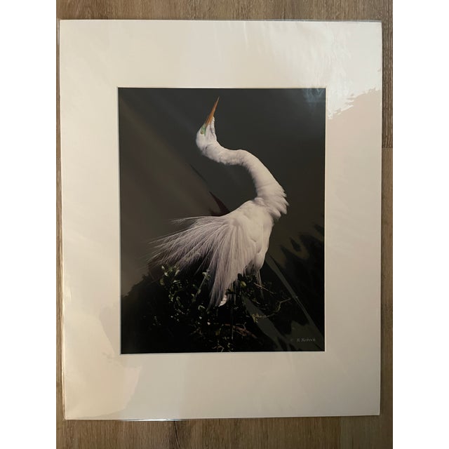 Lot of 3 New Matted B&W Original Photographs Signed by artist Robin Rebeck. In original protective sleeve. 11x14 for the...