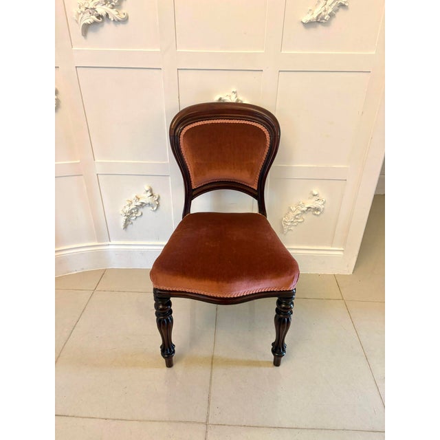 Red Antique Victorian Mahogany Dining Chairs with Tulip Legs, 1860, Set of 6 For Sale - Image 8 of 13