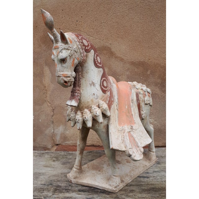 Chinese Northern Wei Dynasty Artist, Sculpture of Horse, Terracotta For Sale - Image 4 of 9
