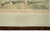 Victorian Original 1881 Chromolithograph of Pointer Dog "Wagg" From Cassell's Illustrated Book of the Dog, by Vero Shaw For Sale - Image 3 of 9