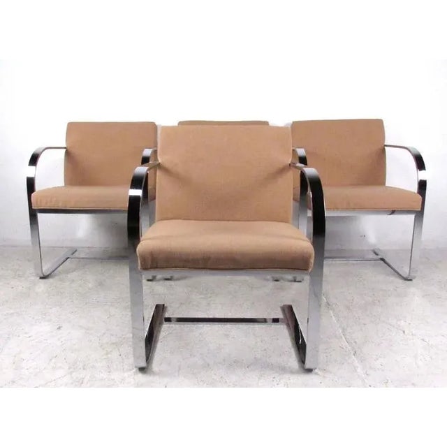 Mies Van der Rohe Set of Vintage Modern Mies Van Der Rohe Dining Chairs by Thonet For Sale - Image 4 of 11