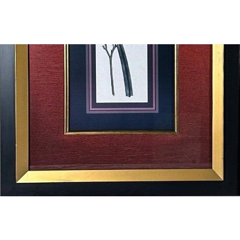 Vintage Framed Stylized Red Lily Botanical Lithograph Prints Pair For Sale In Portland, ME - Image 6 of 12