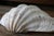 1960s Set of 5 Large Natural Nautical Seashells | Coastal Beach House Decor | Organic Sculptural Display For Sale - Image 5 of 18