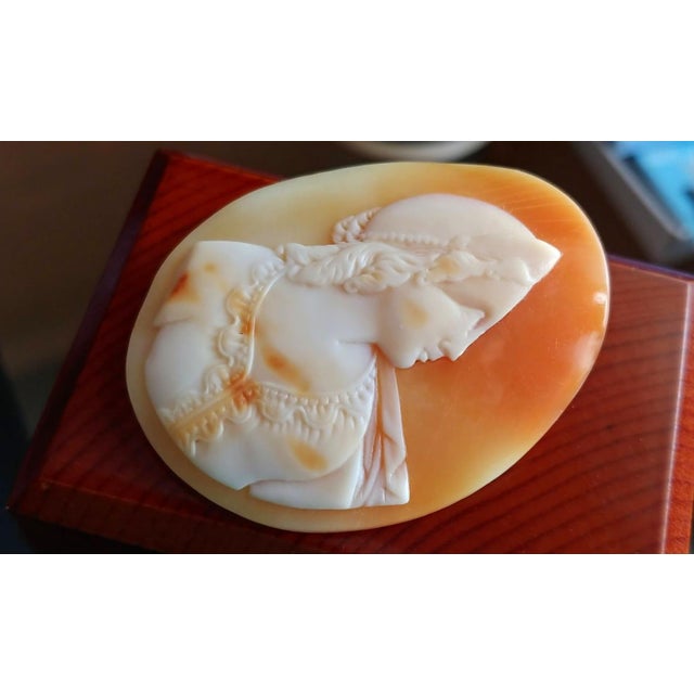 Shell Antique Victorian Shell Cameo of Princess, Circa 1860-1890, England For Sale - Image 7 of 7