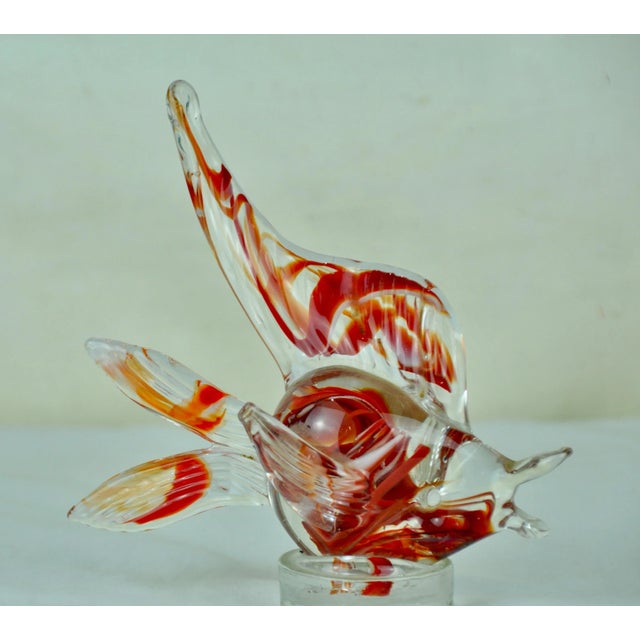 Murano Glass Fish from Murano, 1970s For Sale - Image 6 of 8