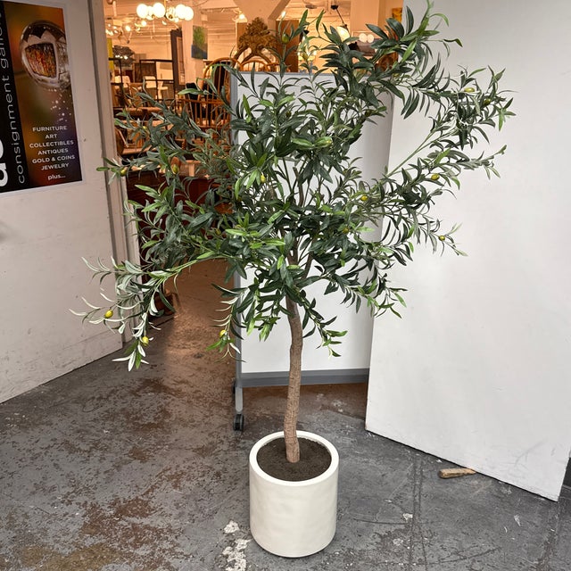 Safari Faux Olive Tree + White Planter For Sale - Image 3 of 12