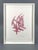 Mark Tobey, Composition in Red, 1972, Color Lithograph on Paper, Framed For Sale - Image 12 of 12