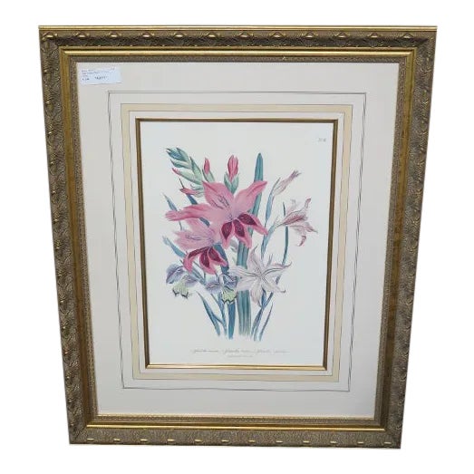 Traditional W. King Ambler Framed Lithograph Print Chairish