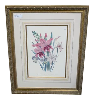 Traditional W. King Ambler Framed Lithograph Print