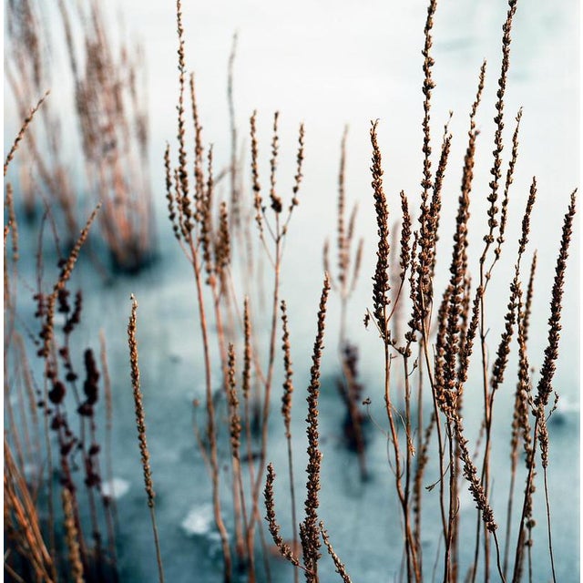 Not Yet Made - Made To Order Paul Cooklin, Debenham Lake, Suffolk, Edition of 50 For Sale - Image 5 of 5
